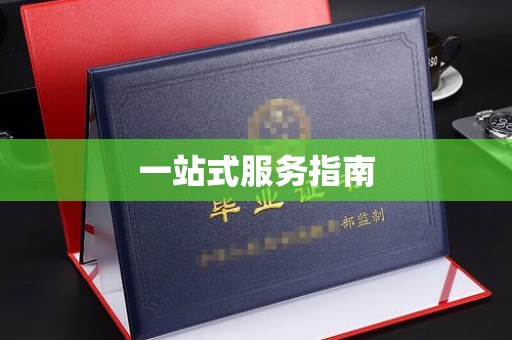 阜宁一站式服务指南