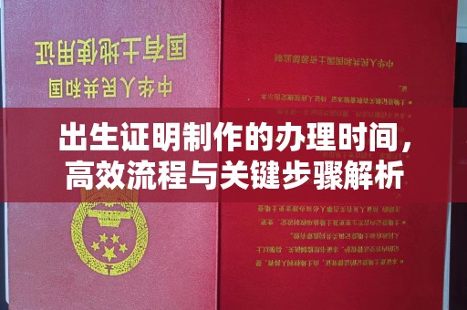 阜宁出生证明制作的办理时间，高效流程与关键步骤解析