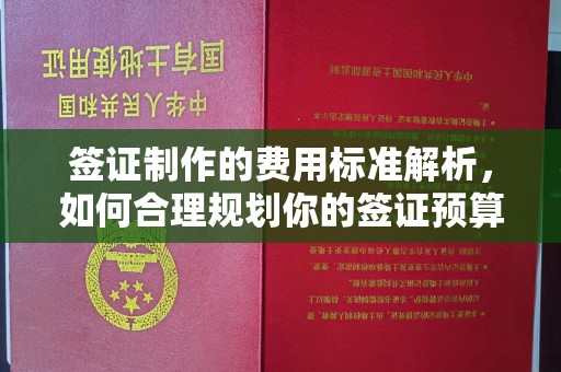 阜宁签证制作的费用标准解析，如何合理规划你的签证预算