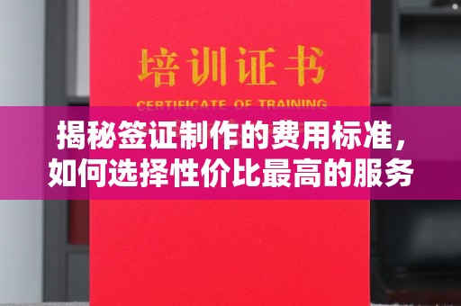 阜宁揭秘签证制作的费用标准，如何选择性价比最高的服务？