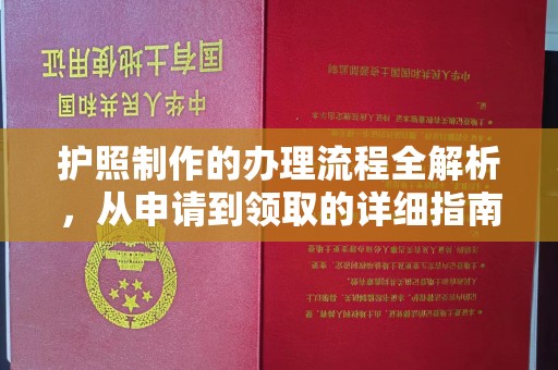 阜宁护照制作的办理流程全解析，从申请到领取的详细指南