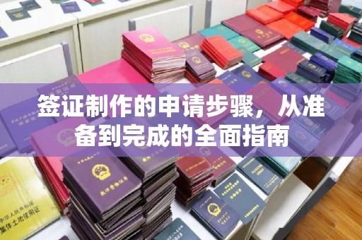 阜宁签证制作的申请步骤，从准备到完成的全面指南
