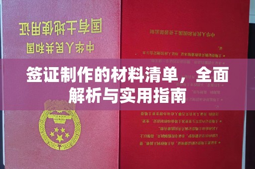 阜宁签证制作的材料清单，全面解析与实用指南