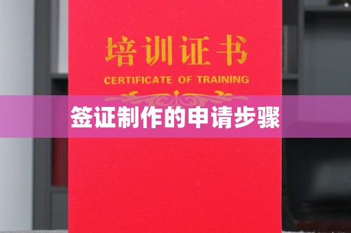 阜宁签证制作的申请步骤