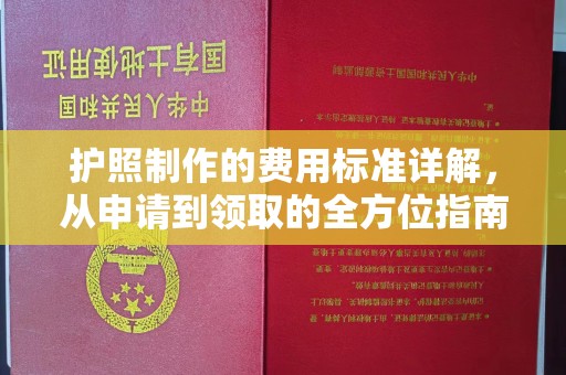 阜宁护照制作的费用标准详解，从申请到领取的全方位指南