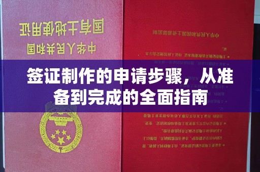 阜宁签证制作的申请步骤，从准备到完成的全面指南