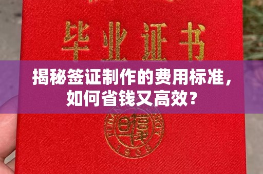 阜宁揭秘签证制作的费用标准，如何省钱又高效？