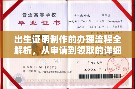 阜宁出生证明制作的办理流程全解析，从申请到领取的详细指南